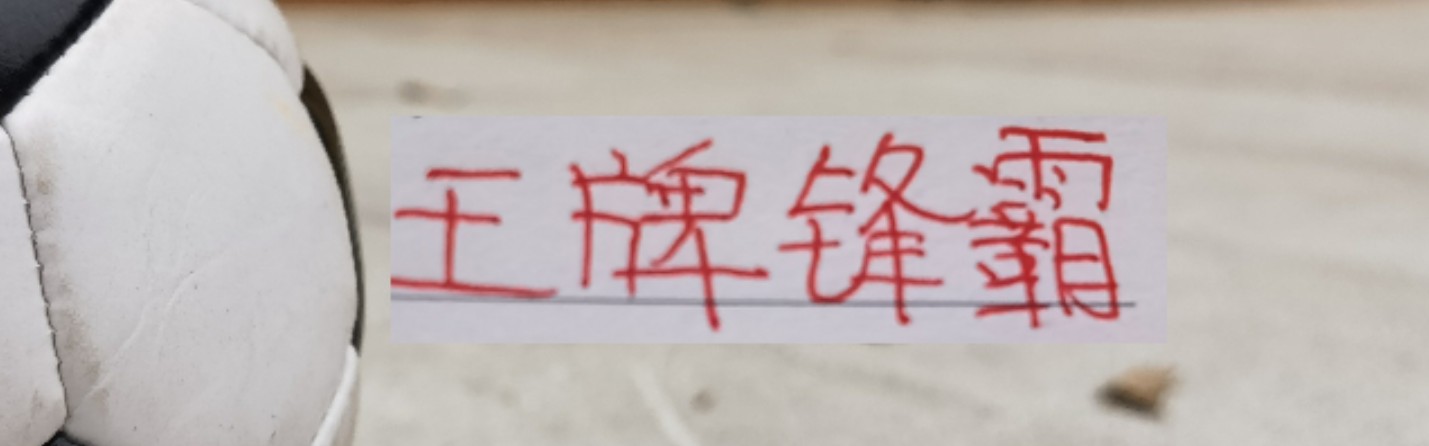 蜘蛛直播app下载-王牌锋霸武磊 莱昂纳多复出！海港就差蒋光太 就能组建最强阵容了